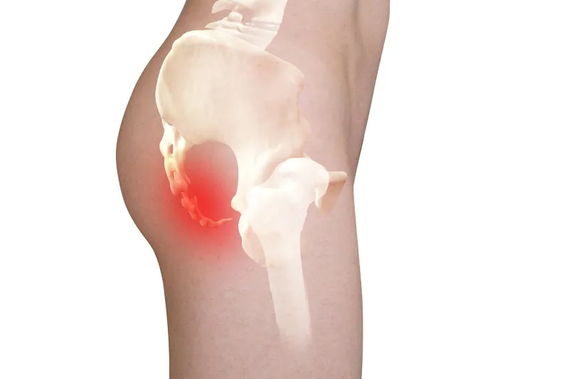 Kuyruk sokumu bölgesi kırmızı vurgulanmış leğen ve omurga anatomik çizimi